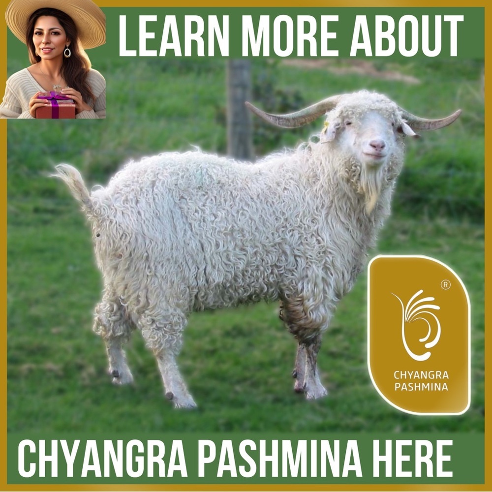 Chyangra Pashmina 100% High Grade Cashmere Wool From Nepal - Learn More Here!